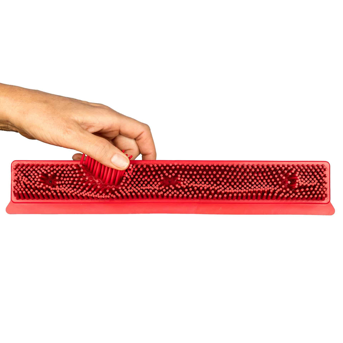 Hair Removal Broom